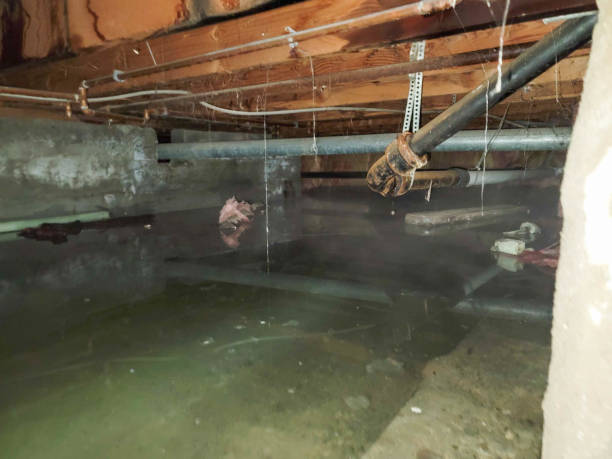 Best 24/7 water damage repair  in Spout Springs, NC