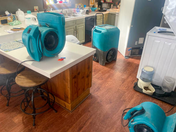 Professional Water damage restoration in Spout Springs, NC