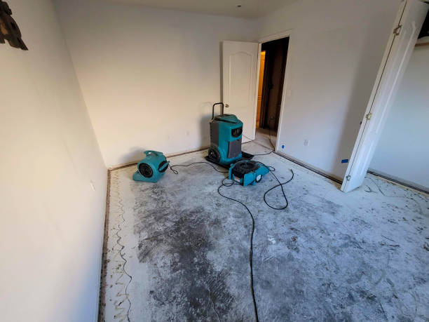 Best Water damage restoration near me  in Spout Springs, NC