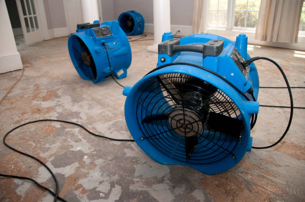 Best Water damage restoration insurance claims  in Spout Springs, NC