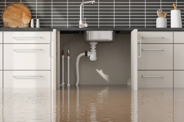 Best Commercial water damage restoration  in Spout Springs, NC